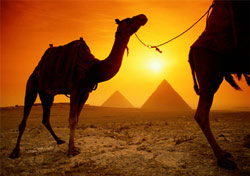 All Inclusive Family Holidays in Egypt