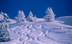 La Plagne skiig with Ski Famille
